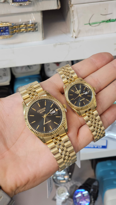 CITIZEN SPECIAL ست تمام استیل رنگ ثابت