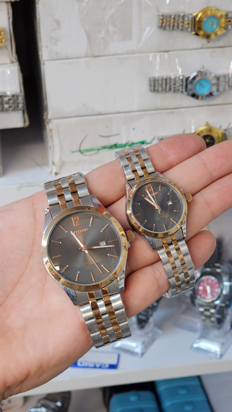 CITIZEN SPECIAL ست تمام استیل رنگ ثابت